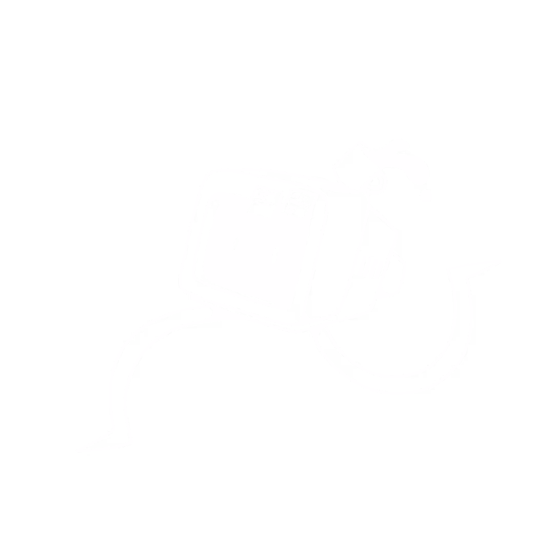 TV Head